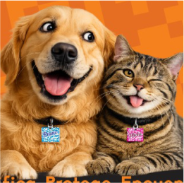 Foto de perfil de www.petcard.com.co